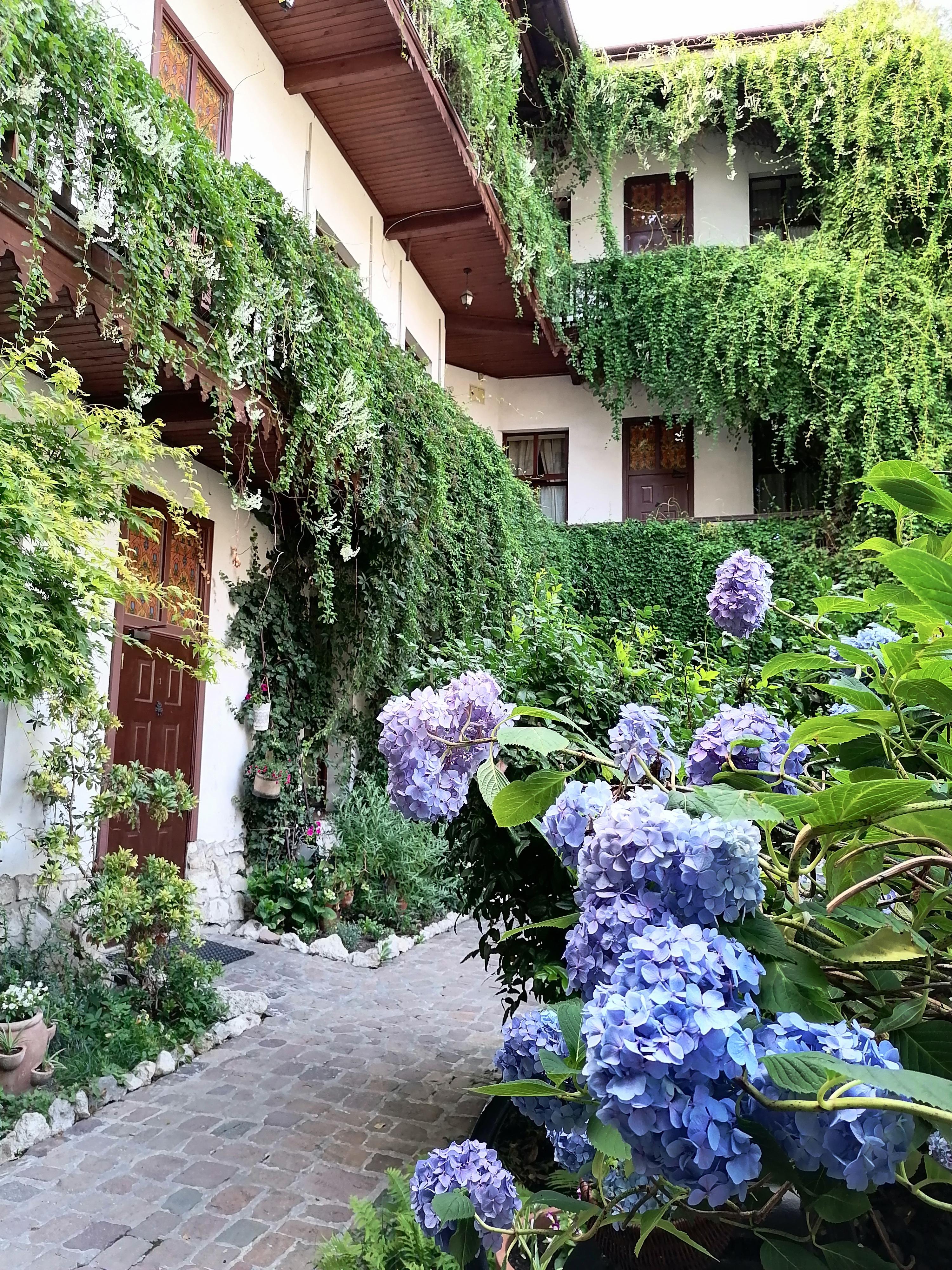 Globtroter Guest House Krakow Ngoại thất bức ảnh