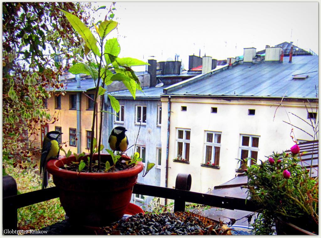 Globtroter Guest House Krakow Ngoại thất bức ảnh