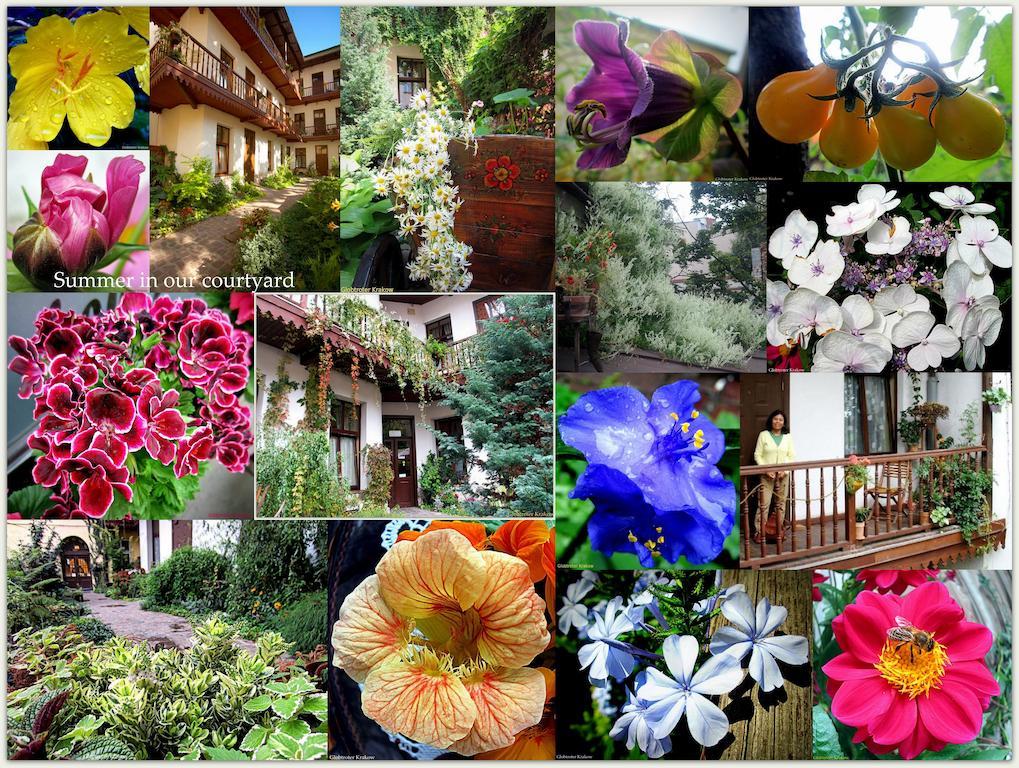 Globtroter Guest House Krakow Ngoại thất bức ảnh